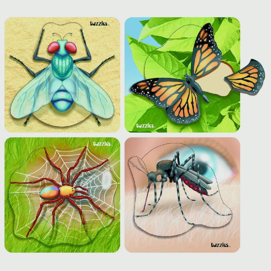 Insect Raised Puzzles β Set of 4 | Educational Kids Puzzle Set ...