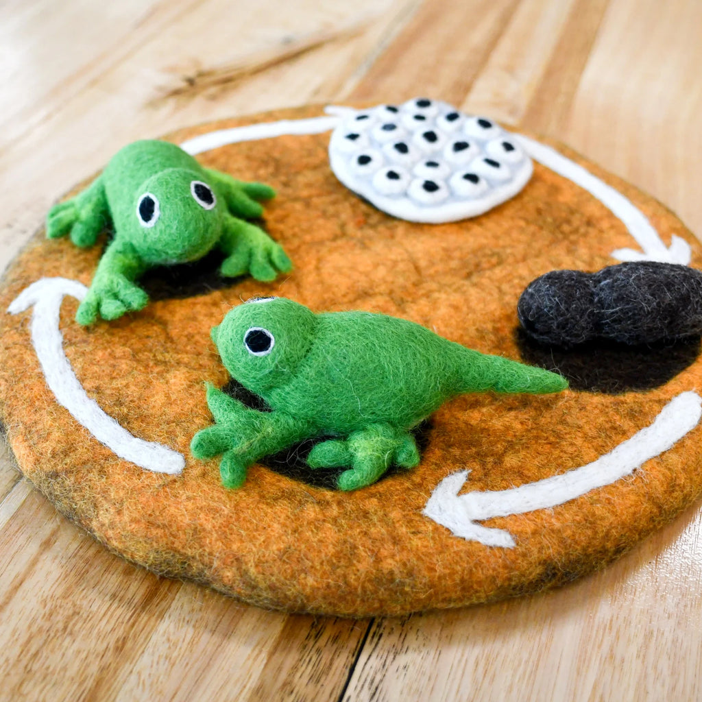 felt-frog-lifecycle-toys-3.webp