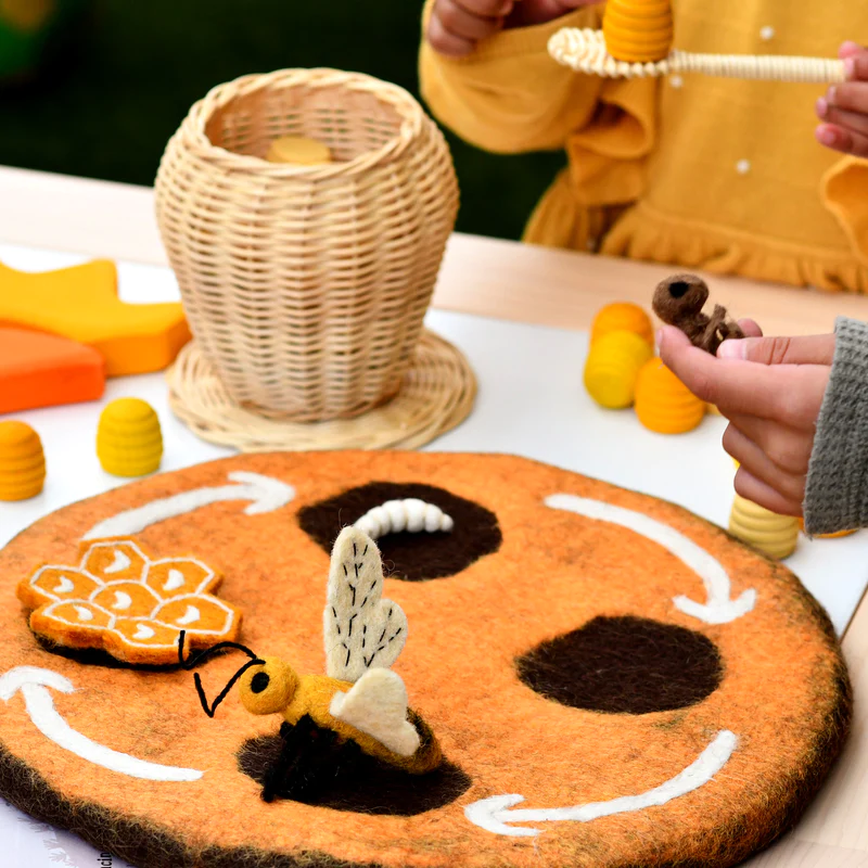 felt-bee-lifecycle-toys-9_800x.webp