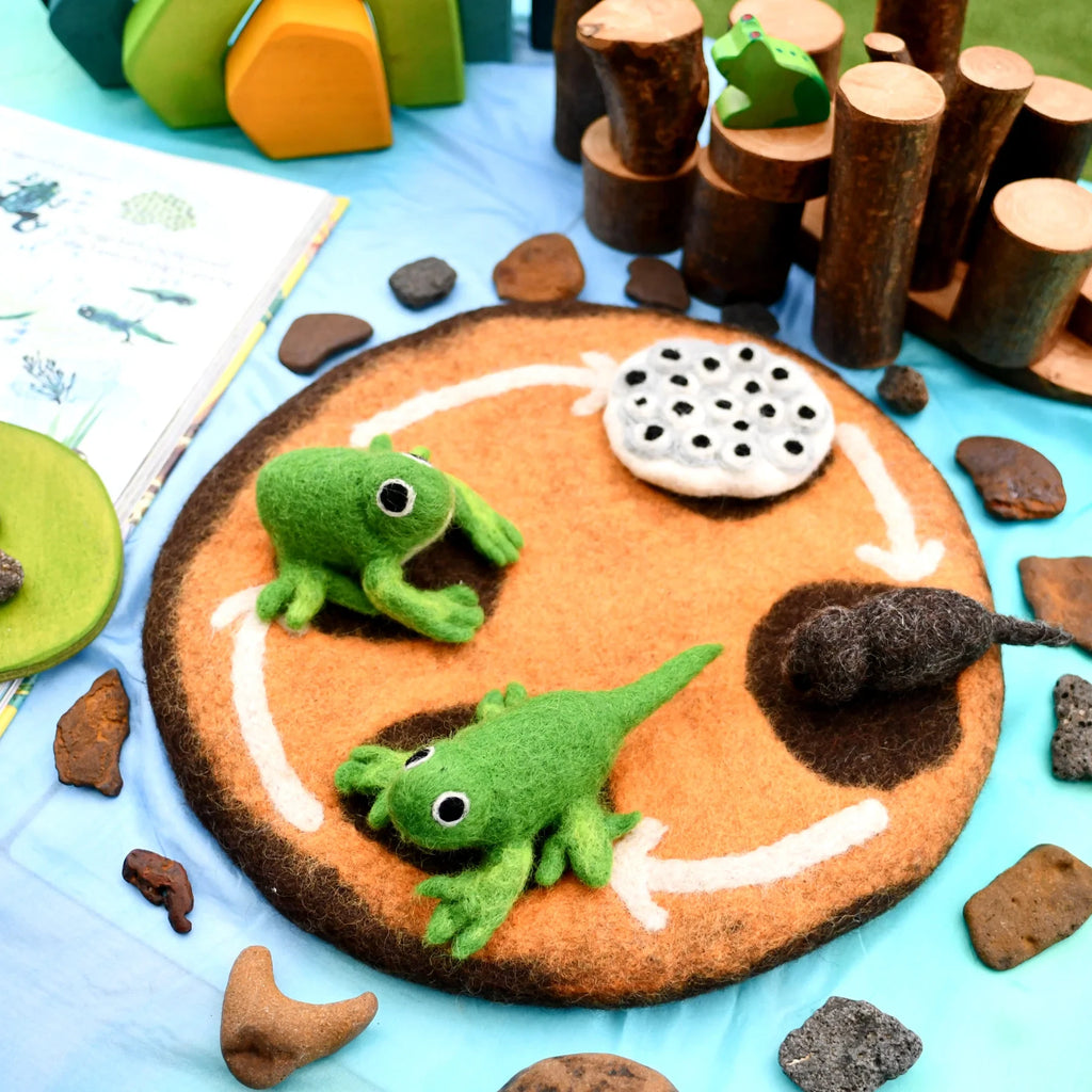 felt-frog-lifecycle-toys-6.webp