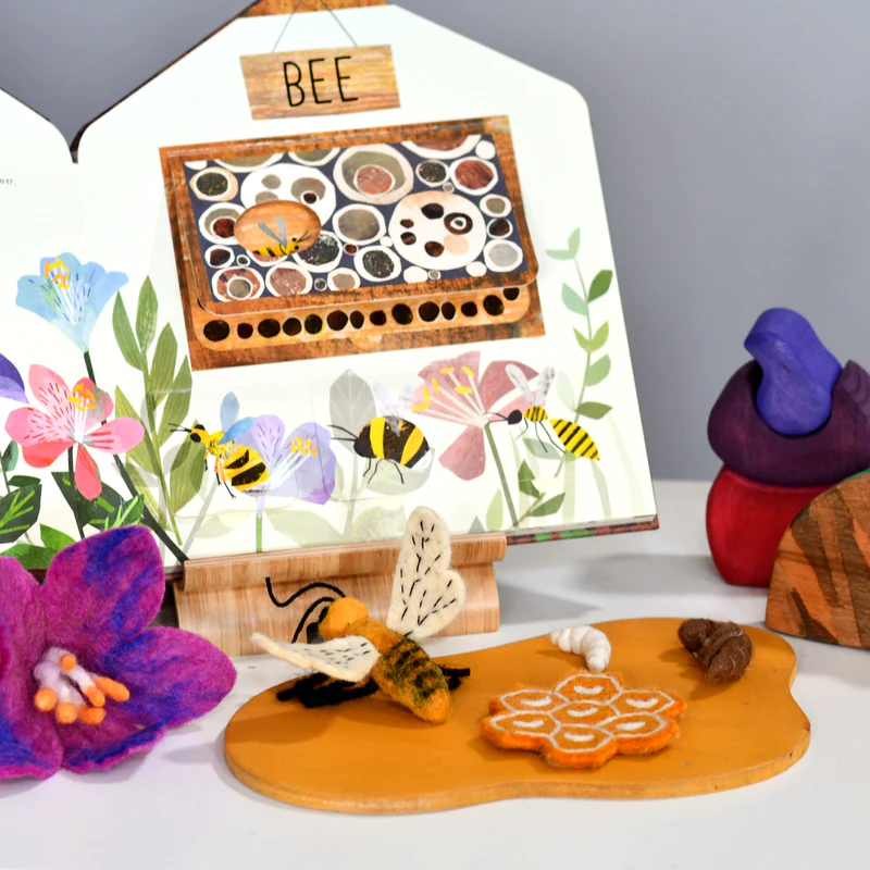 felt-bee-lifecycle-toys-14_800x.webp