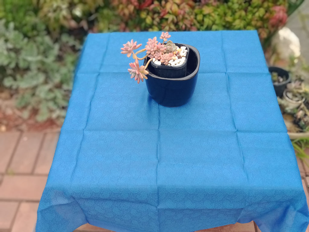 table cover 1.jpg