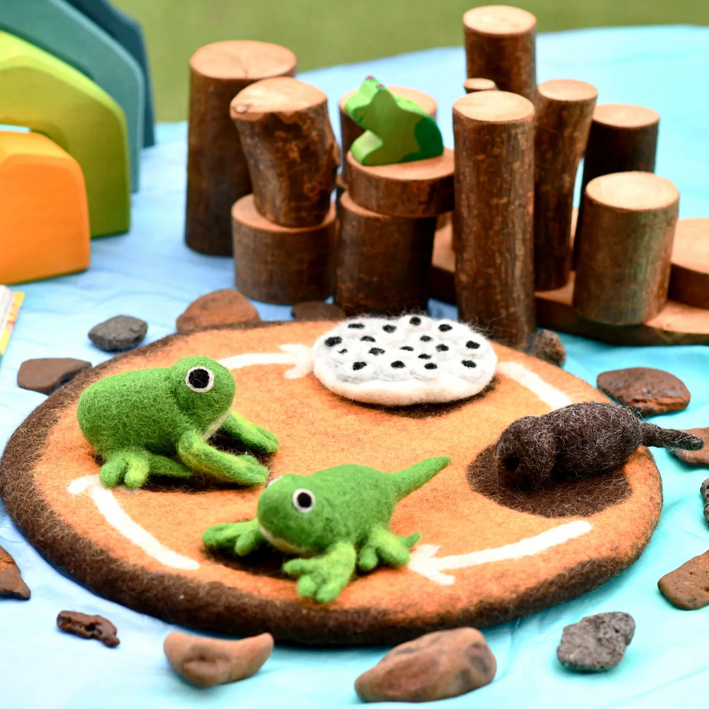 felt-frog-lifecycle-toys-2_8cefb26b-167b-44e3-9259-67455de681d1.webp