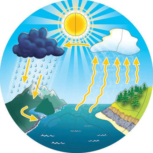 WATER CYCLE.jpg