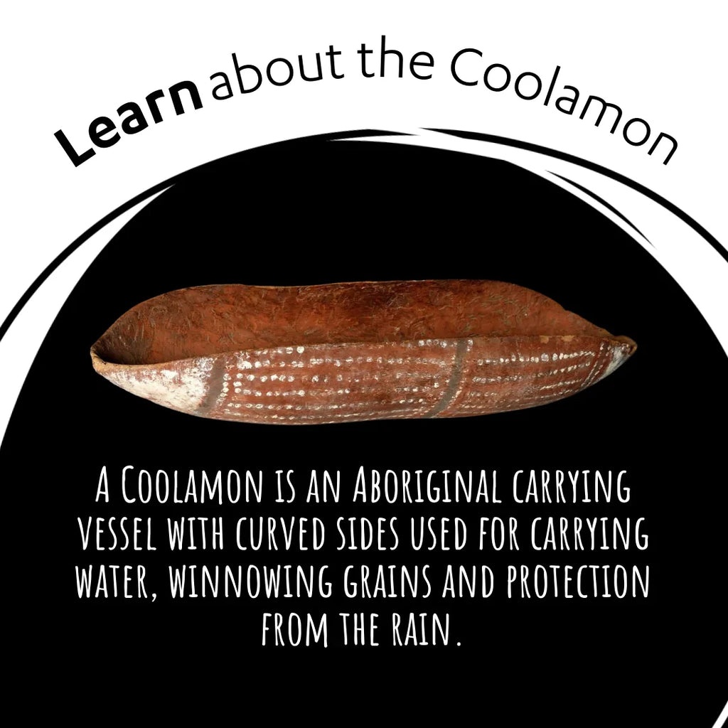 coolamon-intro-2_2000x.webp