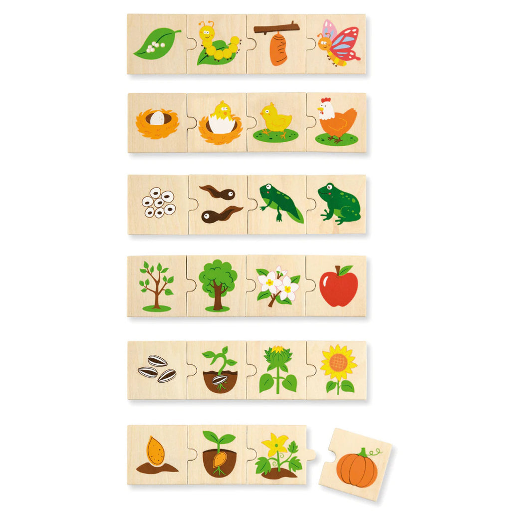 WoodenLifecyclePuzzleSet-Viga_5_5000x__07394.jpg