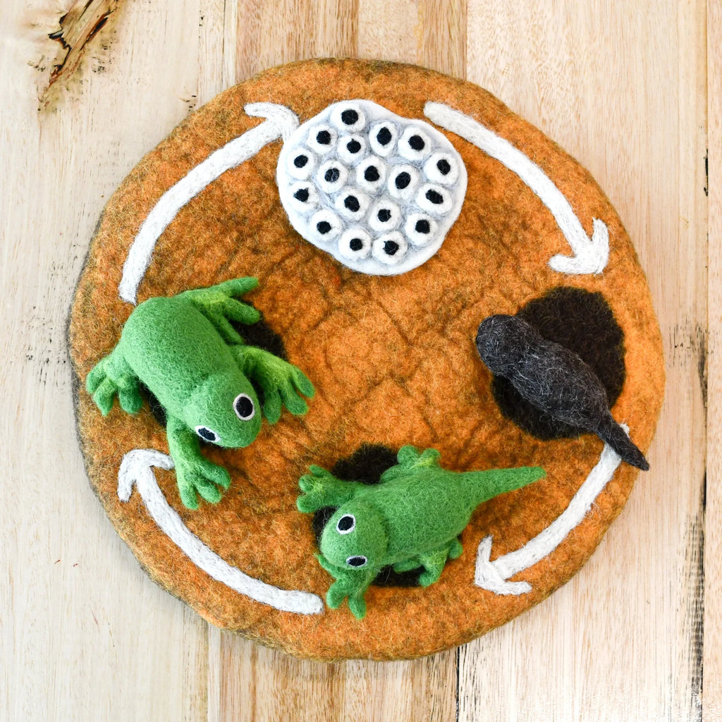 felt-frog-lifecycle-toys.webp