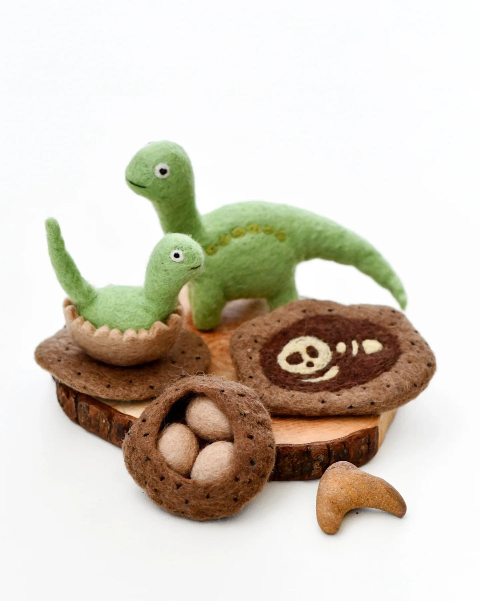 Felt Brontosaurus Life Cycle with Fabric Play Mat | Preschool STEM ...